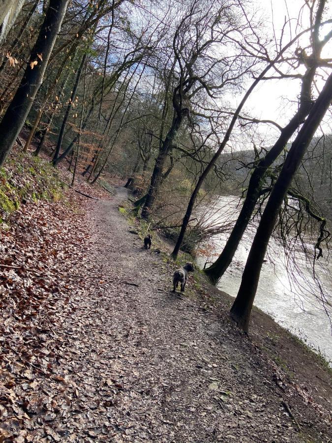 Stunning Symonds Yat Holiday Cottage Eksteriør bilde